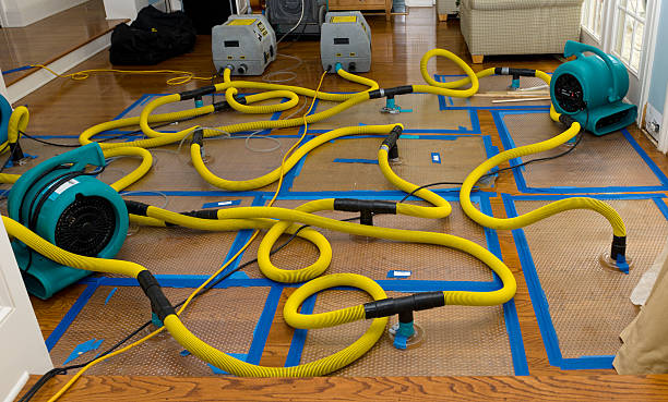 Professional Structural Drying And Dehumidification technician working in Pylesville, MD